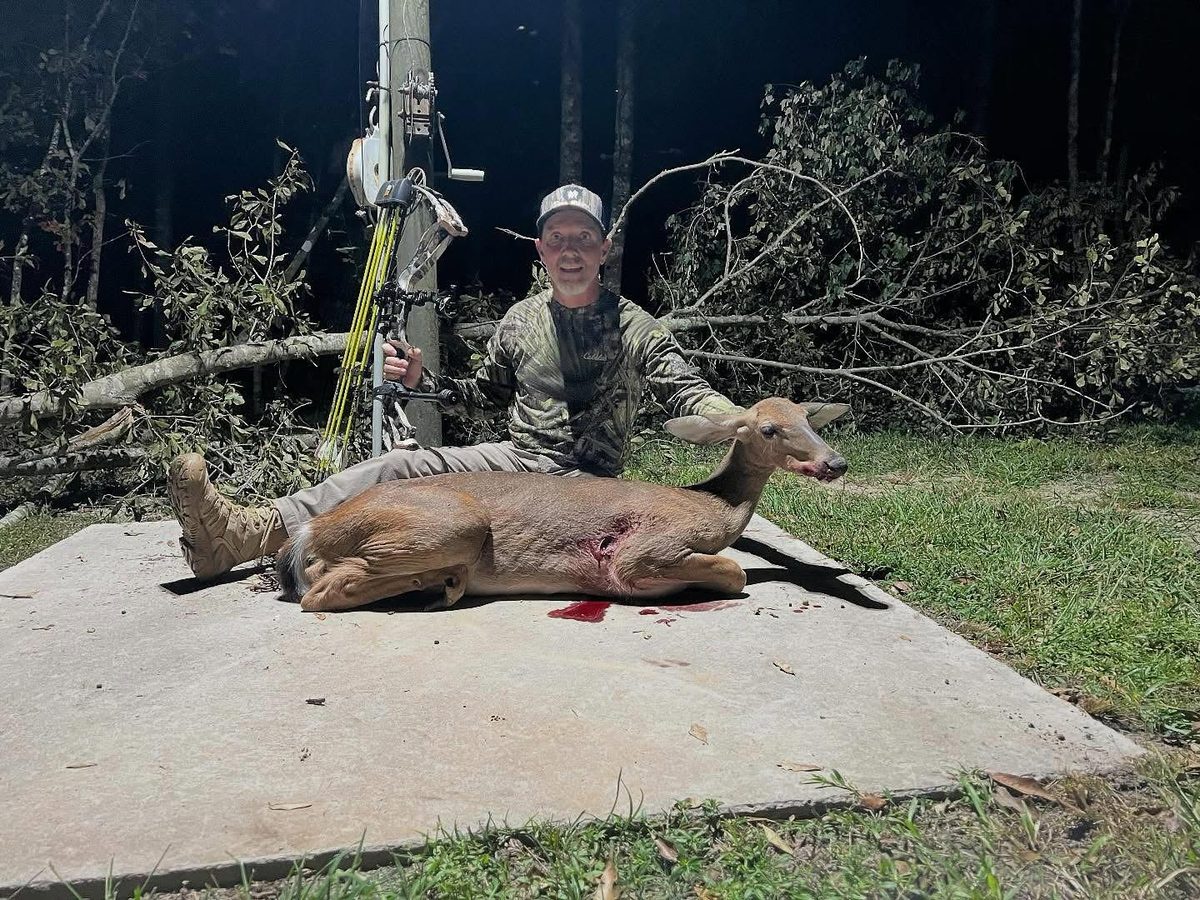 Whitetail down at night with a yellow Orranni arrow